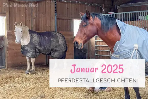 Pferdestallgeschichten Januar 2025