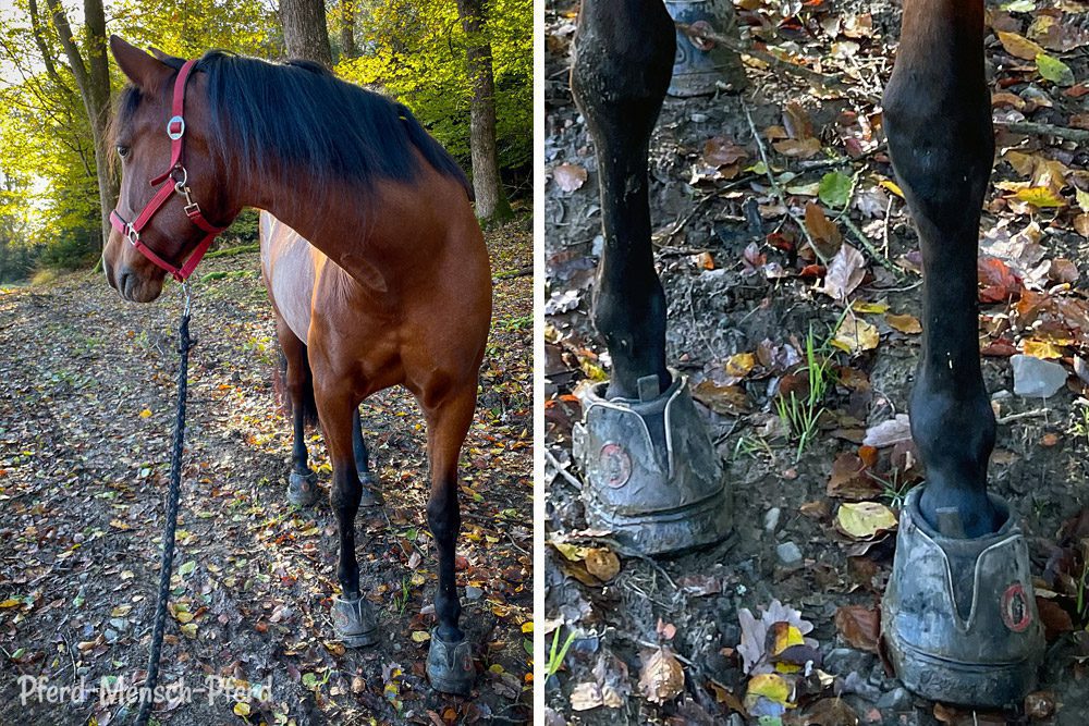Hufschuhe: Equine Fusion