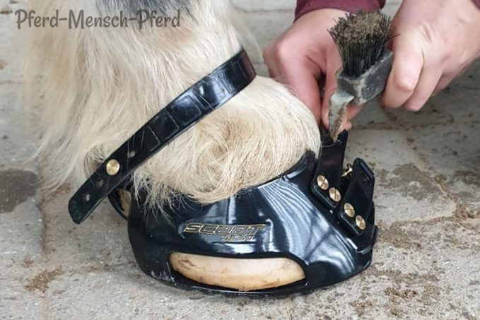 Scoot Boots - Hufschuhe