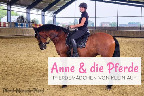 Anne & die Pferde