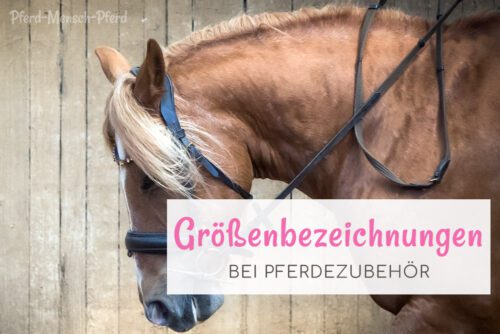 Größenbezeichnungen bei Pferdezubehör