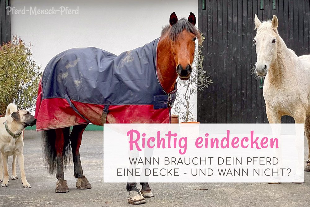 Dein Pferd richtig eindecken