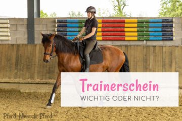 Trainerschein für Reitunterricht - wichtig?