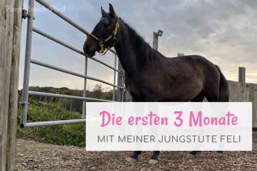 Die ersten 3 Monate mit Feli