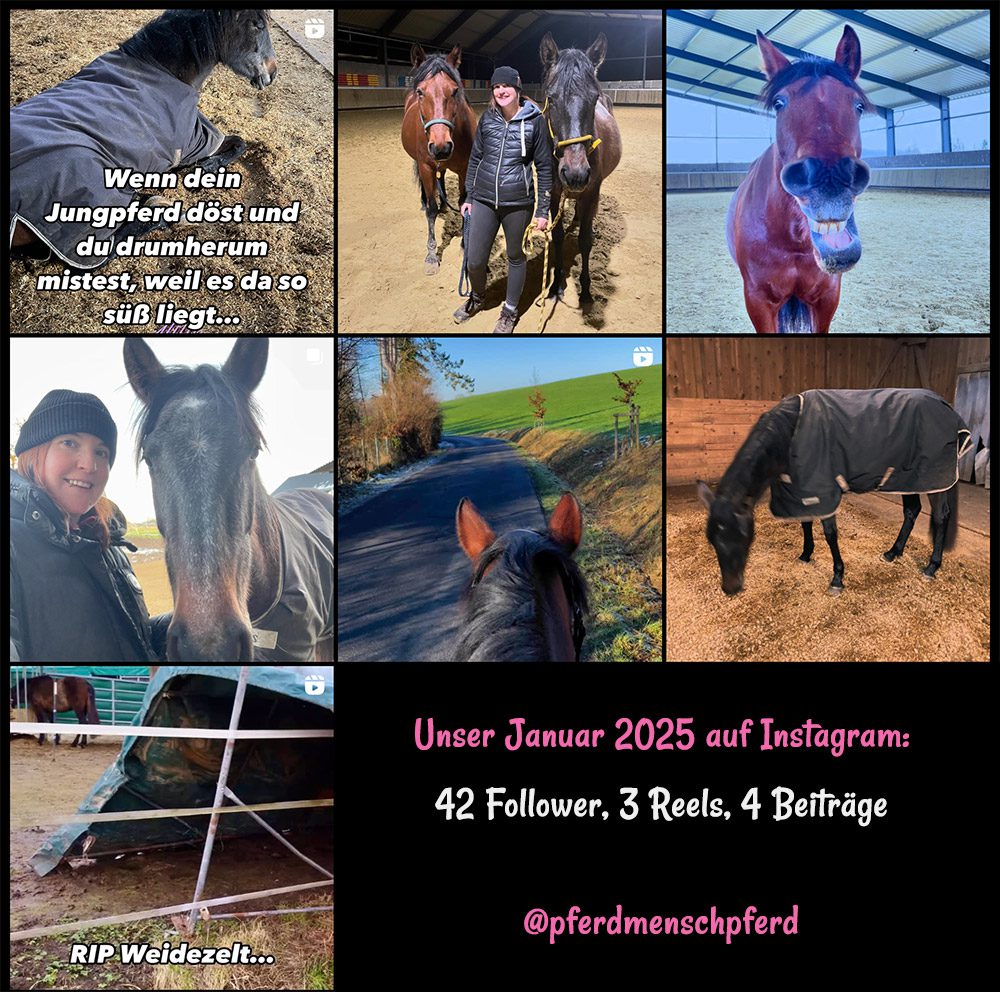 @pferdmenschpferd auf Instagram - Januar 2025