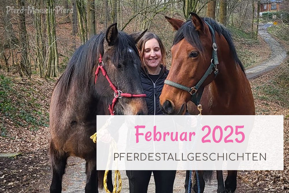 Pferdestallgeschichten - Februar 2025