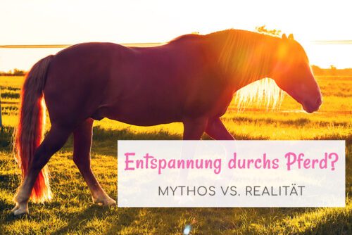 Entspannung durchs Pferd? Mythos vs. Realität