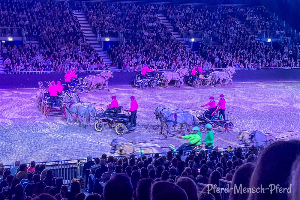 Equitana 2025 - Hop Top Show - Fjord-Fahr-Team