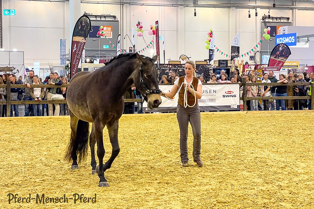 Auf der Equitana 2025 - Akademische Reitkunst mit Bent Branderup