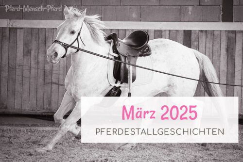 Pferdestallgeschichten im März 2025