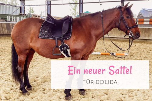 Ein neuer Sattel für Dolida