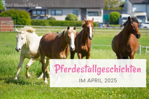 Pferdestallgeschichten im April 2025