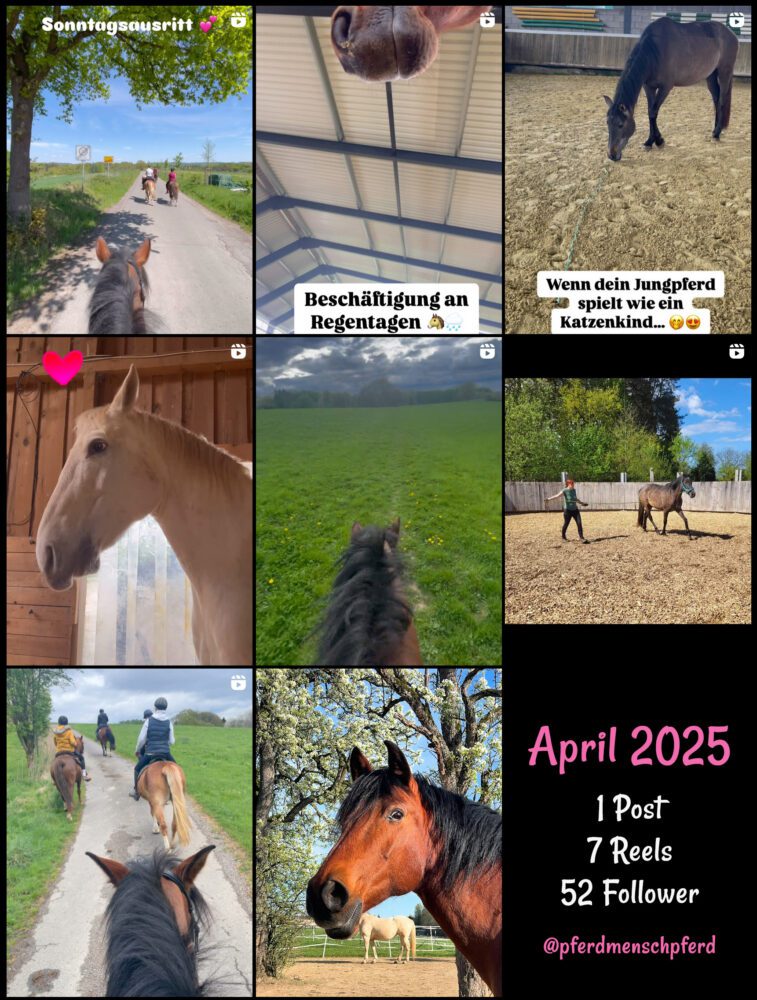 pferdmenschpferd auf Instagram im April 2025