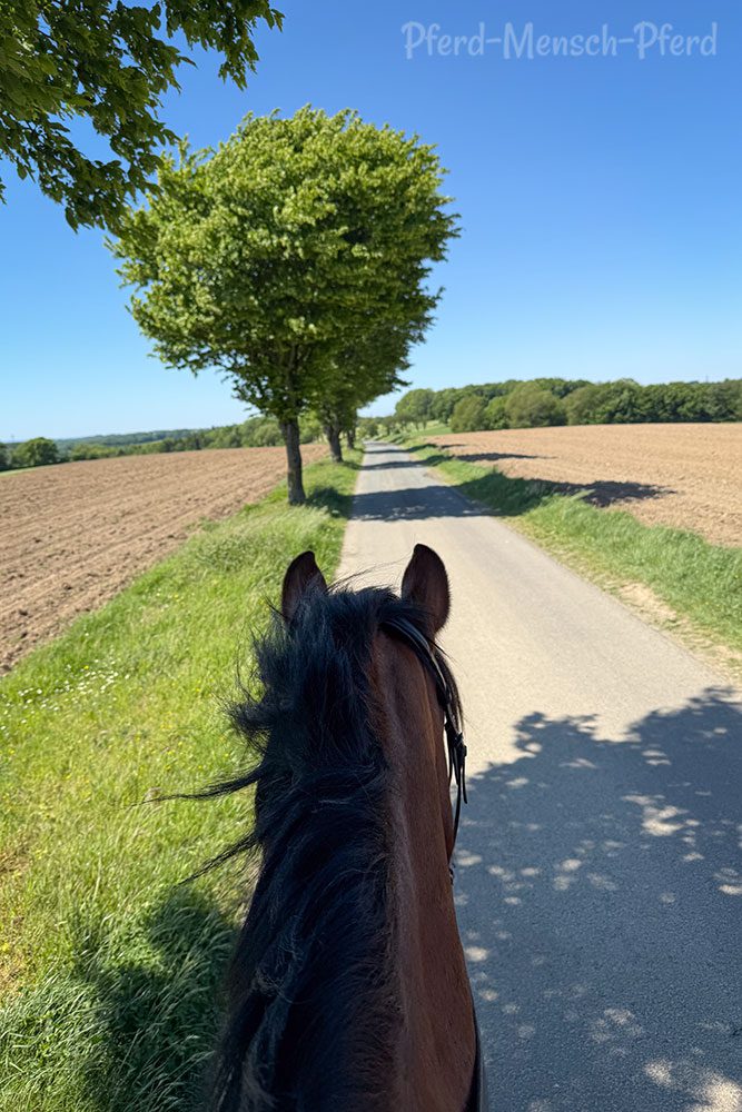 Ausreiten im Mai 2025