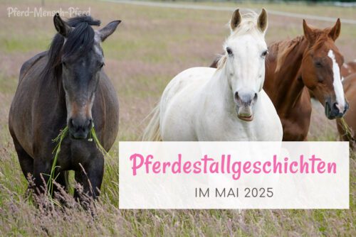 Pferdestallgeschichten im Mai 2025