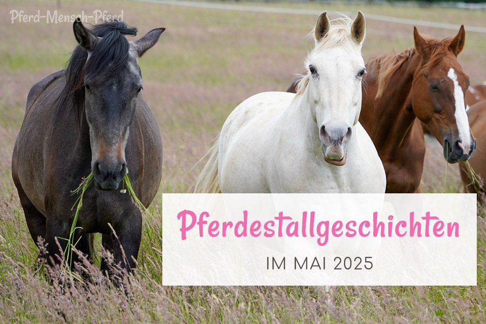 Pferdestallgeschichten im Mai 2025